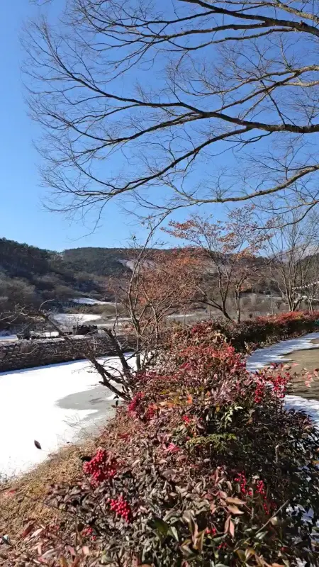 눈 내린 카페 이장님댁 풍경