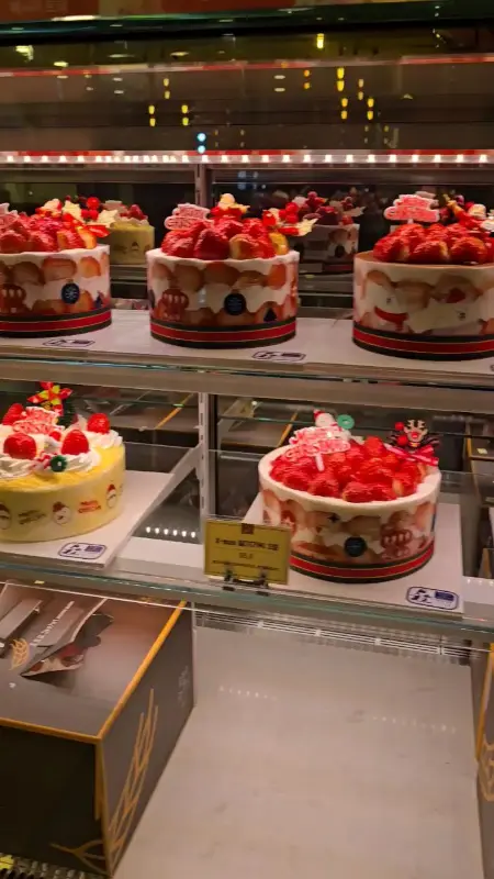 케이크 쇼케이스