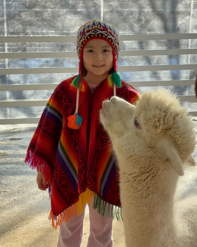 페루 전통 의상을 입고 알파카와 교감하는 아이