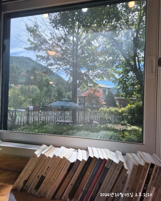 창밖으로 보이는 정원 풍경