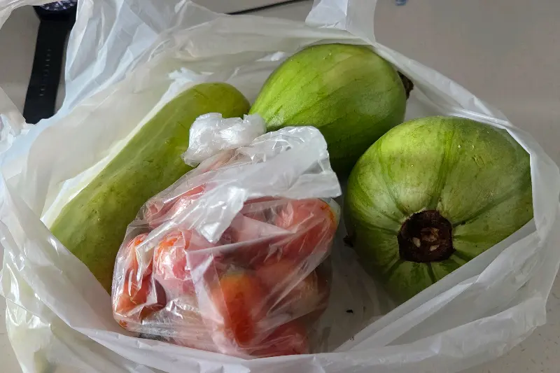 직접 재배한 신선한 채소