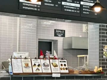 보은 속리산, 혼밥러의 성지! 스테이모먼트에서 찾은 인생 대추차 맛집