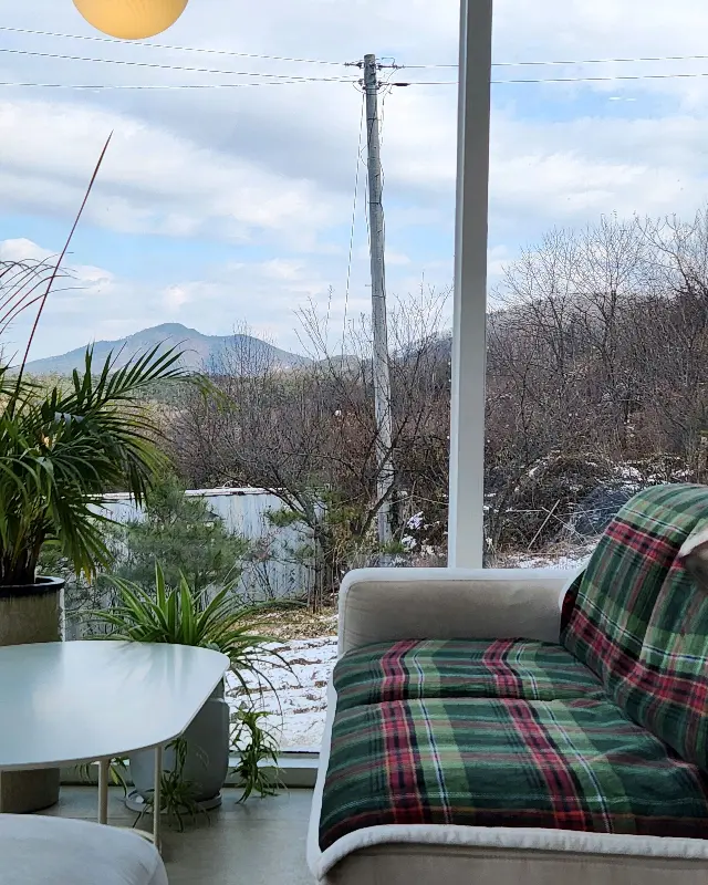 카페 내부에서 바라본 겨울 풍경