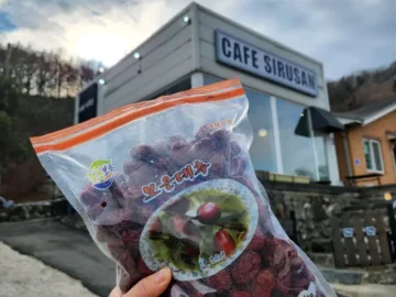 보은의 숨겨진 낙원, 카페 시루산에서 만끽하는 풍경 맛집 드라이브