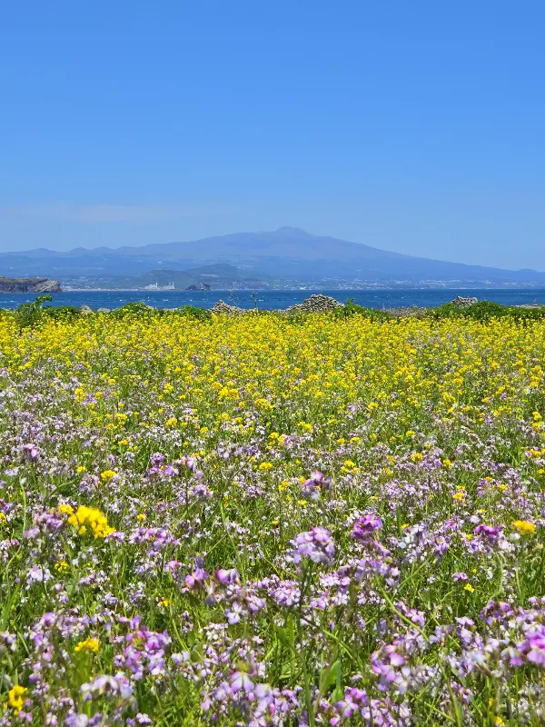 종달리의 아름다운 풍경