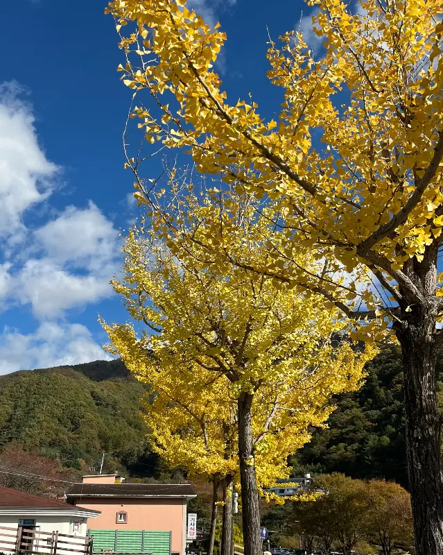 식당 주변 풍경