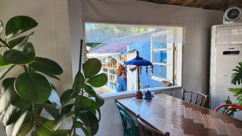 카페 내부에서 창밖을 바라본 모습. 초록색 식물들이 싱그러움을 더한다.