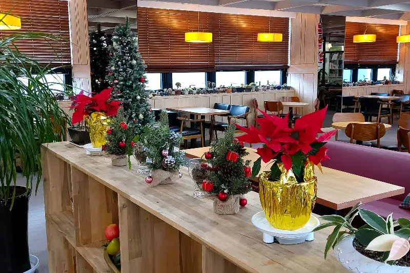 카페 내부 테이블