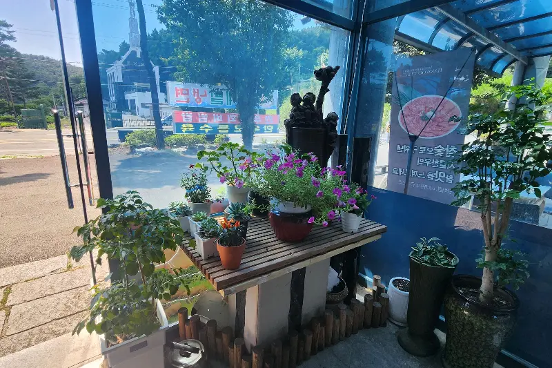 식당 입구 화분