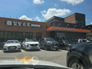 기다림 끝에 맛보는 양주 밀밭칼국수, 그 잊을 수 없는 행복한 추억 속으로 떠나는 미식 여행