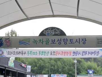 보성 녹차향 가득한 떡갈비, 향토시장의 숨겨진 맛집에서 즐기는 특별한 미식 경험