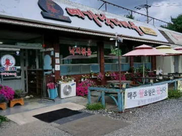 칼칼한 매운맛에 땀샘 폭발! 음성에서 맛보는 화끈한 낙지볶음 맛집 탐험기