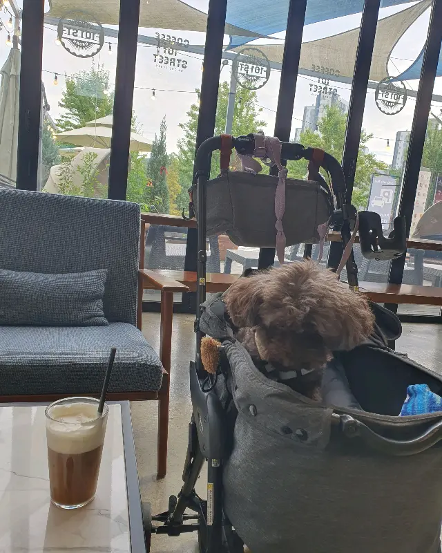 야외 테라스 좌석