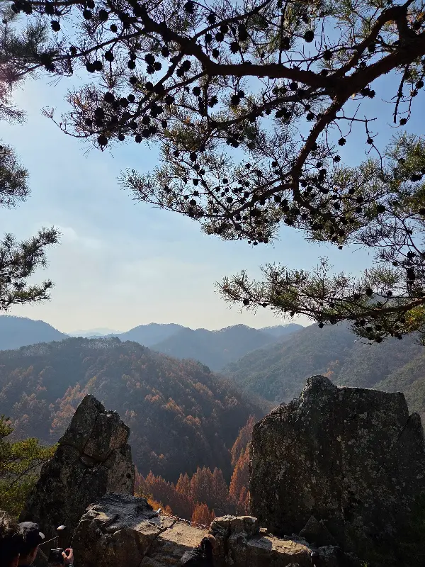 맛있는 흑염소 전골 한 상 차림
