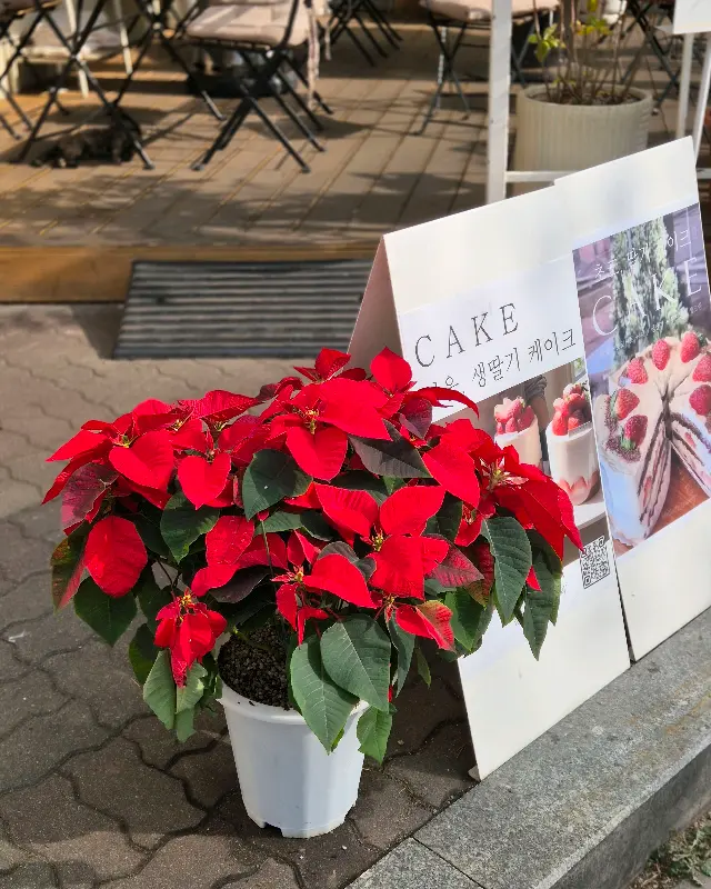 울랄라베이커리 외부 전경