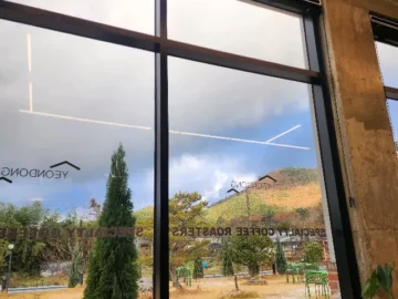 고즈넉한 풍경 속 커피 맛집 실험, 해남 연동커피로스터리의 놀라운 발견