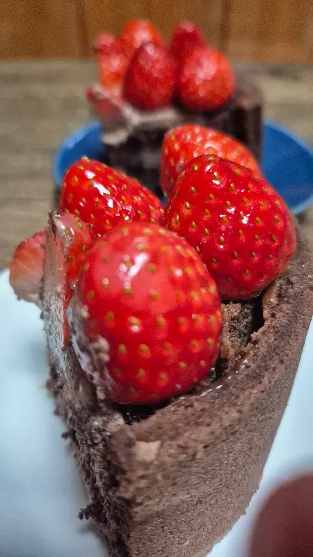 스초생 케이크 단면