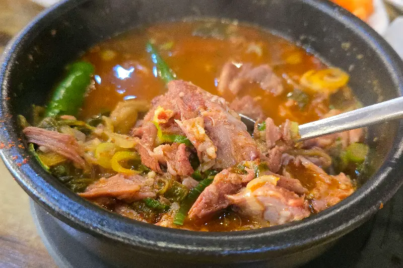 살이 가득 붙은 뼈