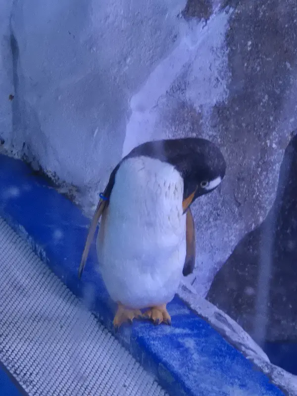 카페 내부 인테리어 소품