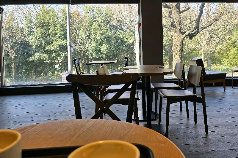 창밖으로 보이는 푸르른 나무들