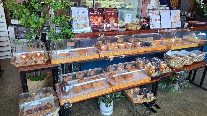 다양한 빵 종류