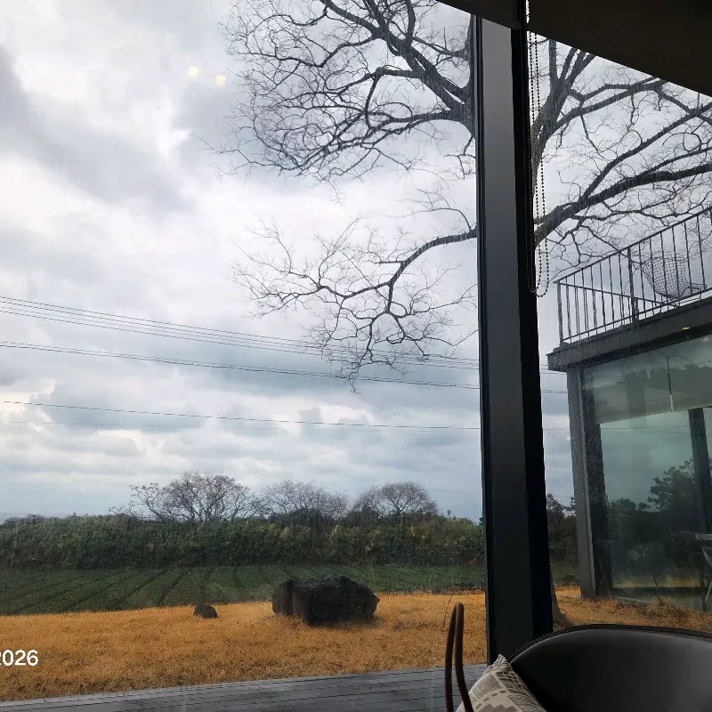 창밖으로 보이는 풍경