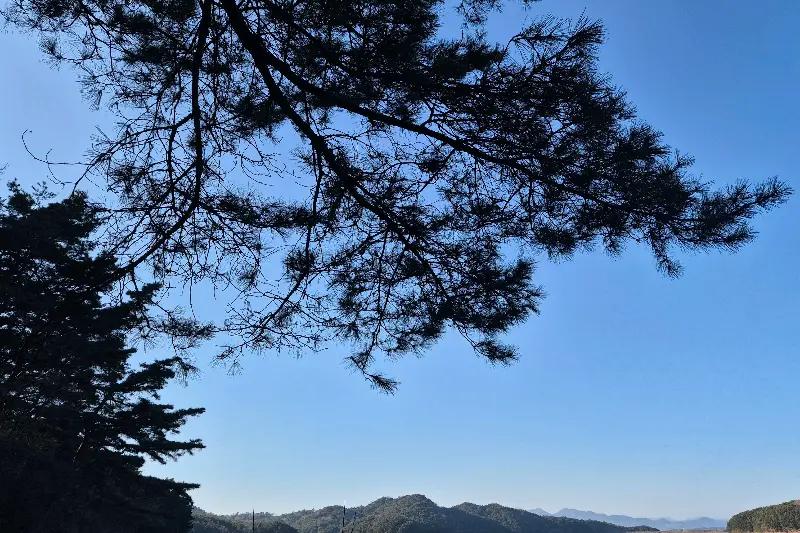 푸르른 하늘과 산이 어우러진 아름다운 풍경