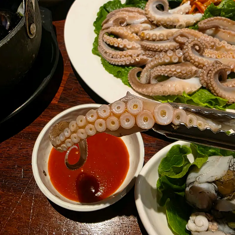 신선한 쭈꾸미 숙회