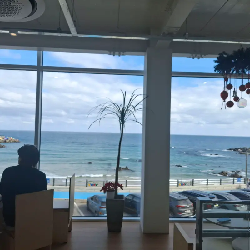 통창으로 보이는 바다와 카페 내부