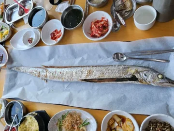 Yo, 제주 맛집 정복기! 춘심이네 본점에서 갈치 레전드를 찍다