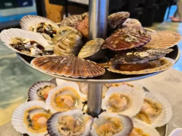 바다향 가득한 고성 봉포, 과학적 미식 탐험: 조개공장 맛집 순례기