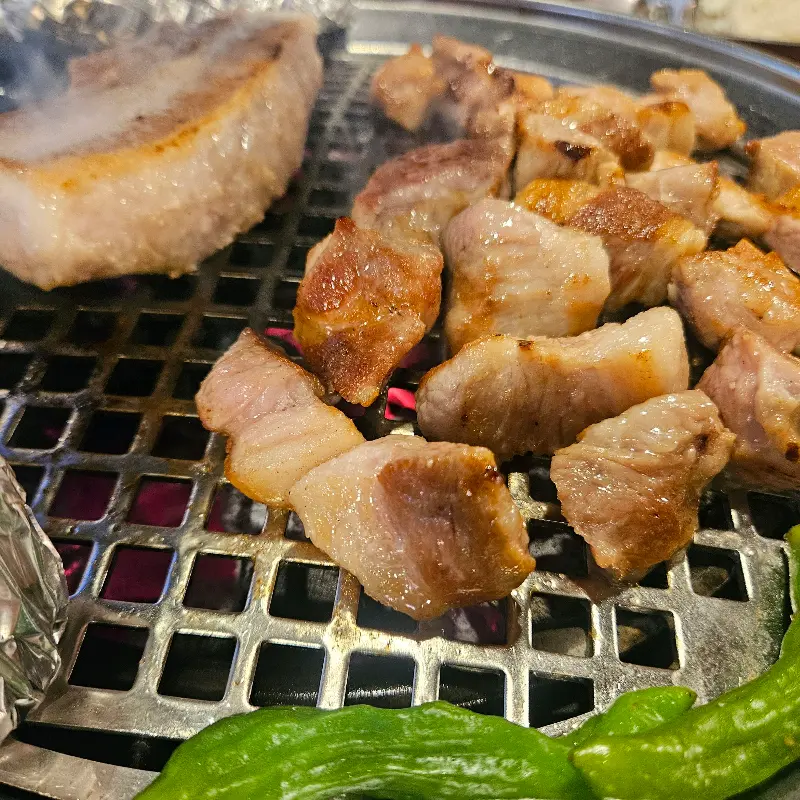 가브리살 단독 샷