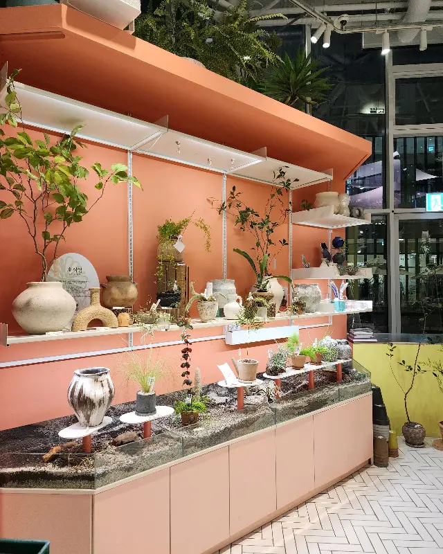 앤티크한 소품과 식물이 어우러진 공간