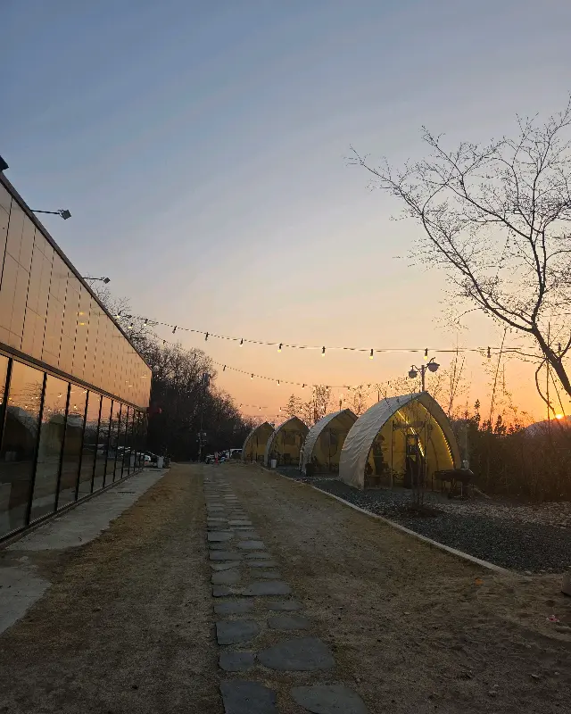 저녁 노을이 아름다운 숲에가자 풍경