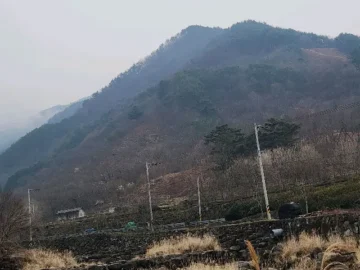 구례 숨은 보석 같은 힐링 뷰 맛집, 도심다원에서 즐기는 차 한 잔의 여유