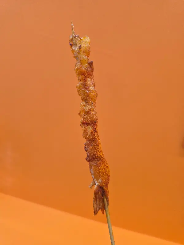 마라 가루가 뿌려진 꼬치