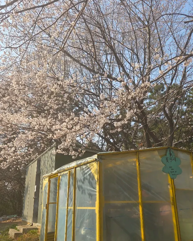 산애산 주변 풍경