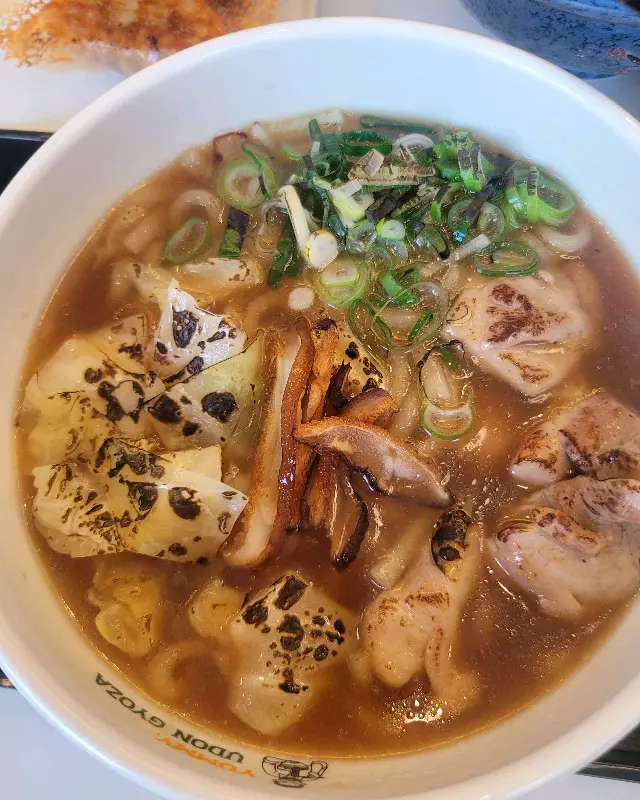 닭고기와 야채가 듬뿍 들어간 우동