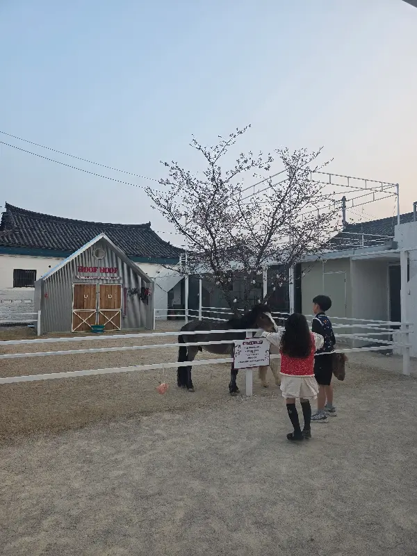 카페 외부 전경