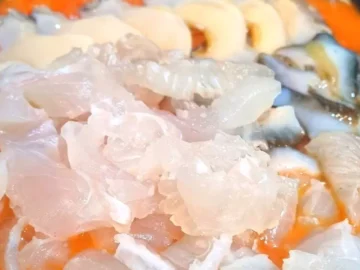 싱싱함이 살아있는 양양 물회 맛집, 양양바다에서 즐기는 특별한 오징어순대 향수