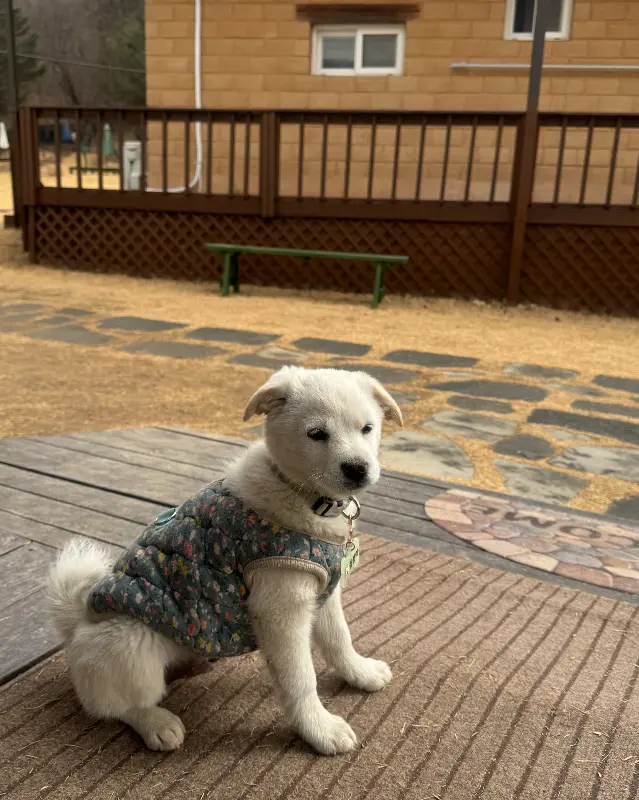 팔봉수피아 내부 인테리어