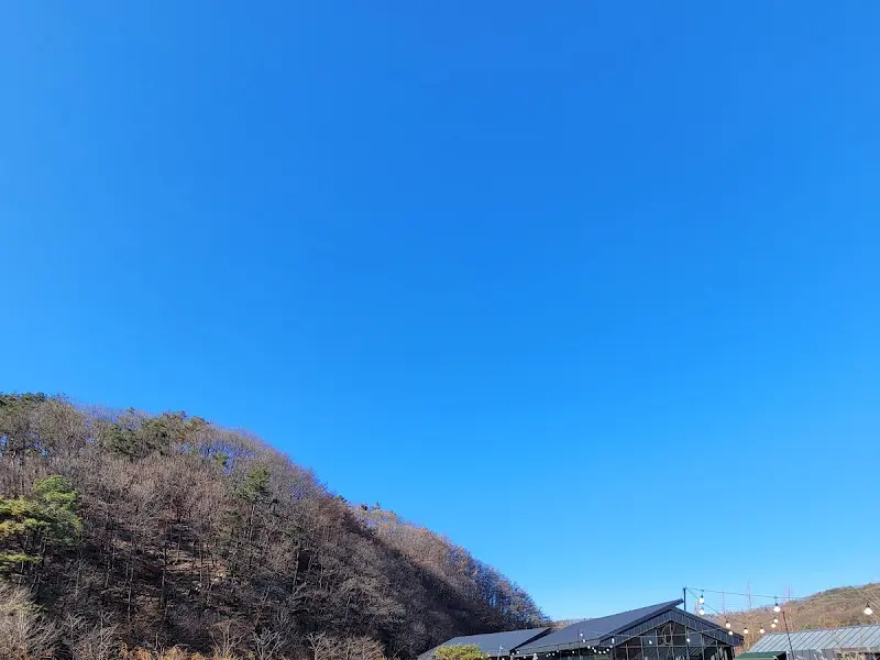 묵리459 주변 풍경