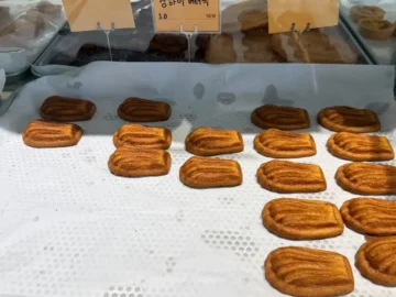 강정보의 아름다운 풍경과 함께하는 마고플레인, 다사에서 만나는 특별한 맛집