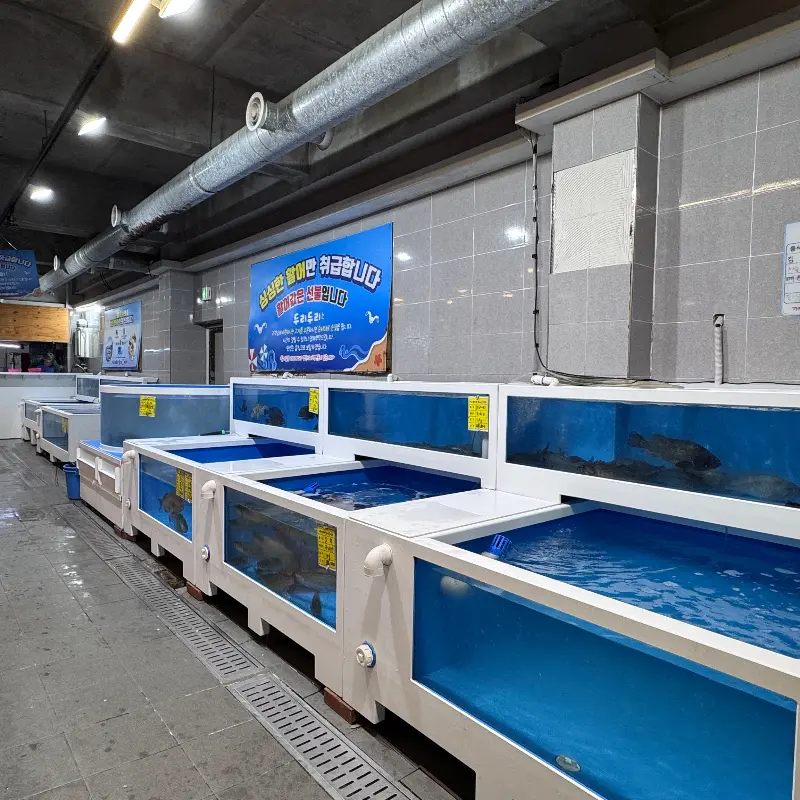 두리두리 활어회센터 내부 수족관 모습