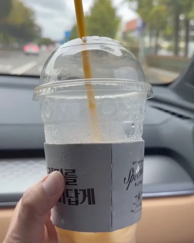 아이스 아인슈패너 라떼