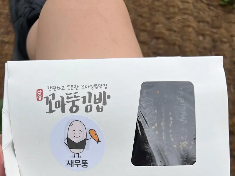 포장된 꼬마뚱김밥