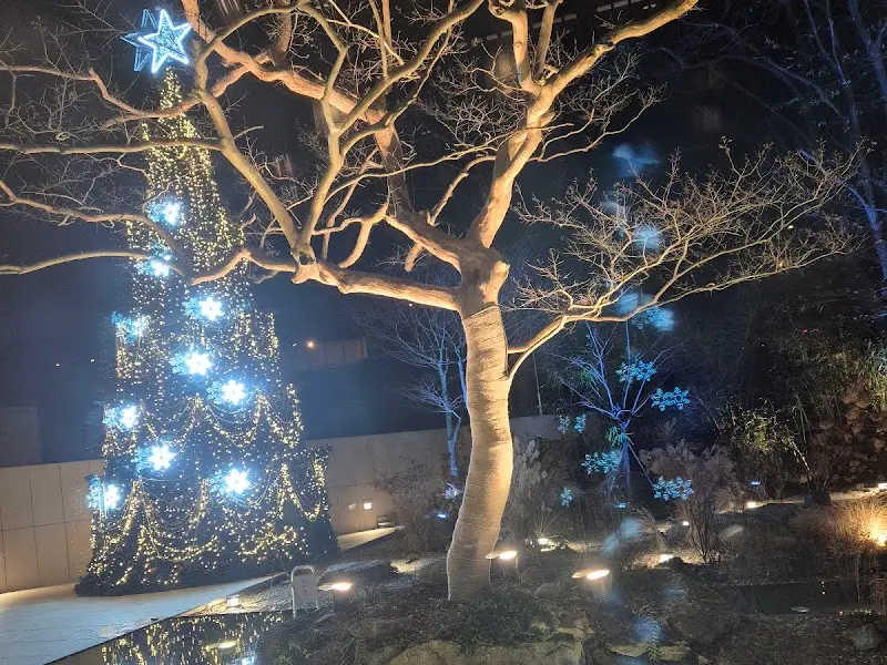 밤에 조명이 켜진 카페 외관과 크리스마스 트리