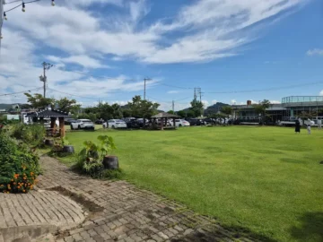 추억과 풍미가 공존하는 군산, 옹고집쌈밥에서 즐기는 특별한 시골밥상 맛집 기행