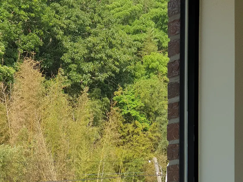 창밖으로 보이는 푸르른 숲