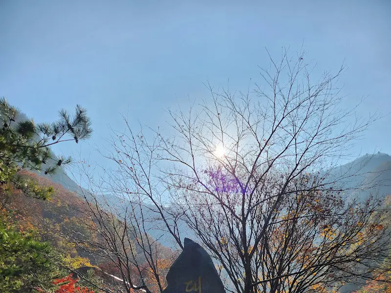 햇살이 쏟아지는 대금굴 주변 풍경